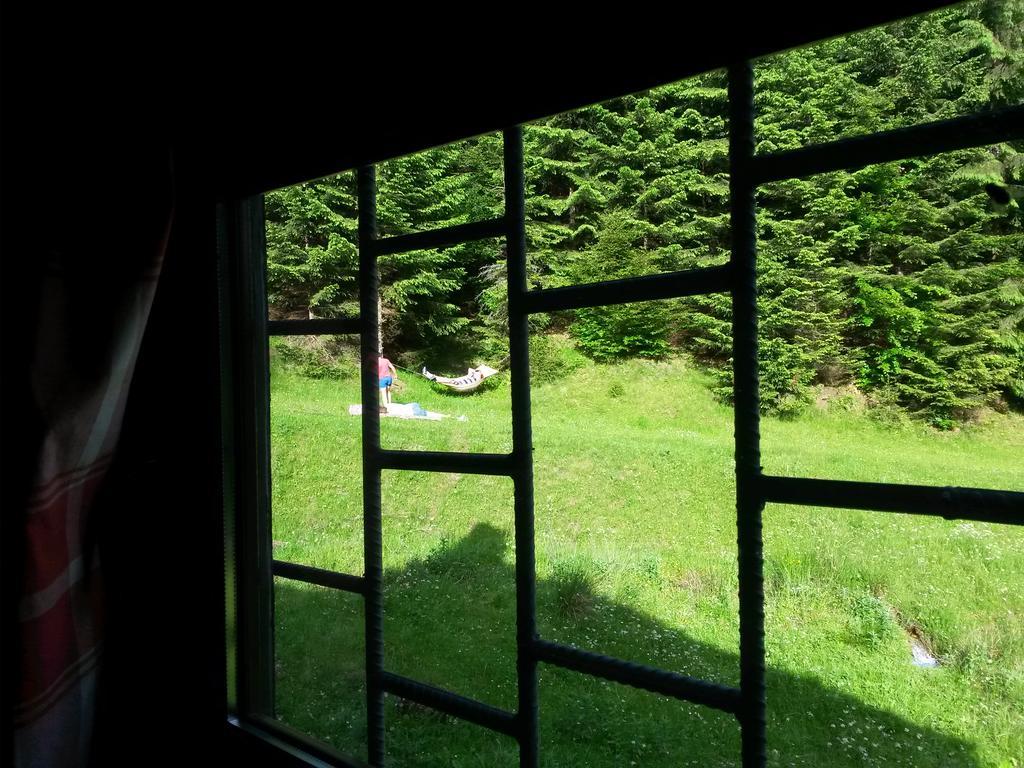 Cabana Pietricica Dîmbovicioara Extérieur photo