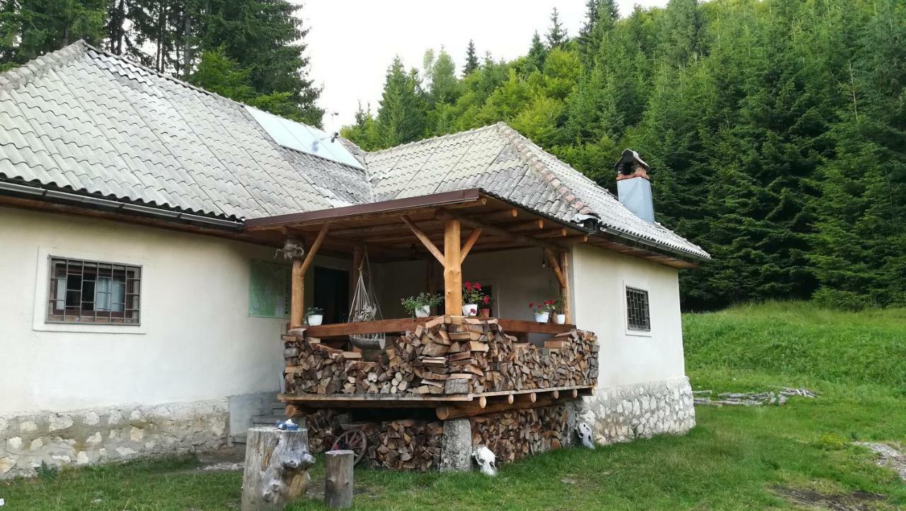 Cabana Pietricica Dîmbovicioara Extérieur photo